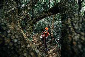 BIB: 
                            <button type="button" onclick="openModal(25392402)" class="btn btn-primary btn-sm float-right btn-popup" data-toggle="modal" data-target=".modal-high-quality">
                        <i class="fas fa-shopping-cart"></i> Add to Cart
                    </button>
                                            <button type="button" onclick="isThisMe(25392402, true)" class="btn btn-success btn-sm float-right btn-popup btn-isme hidden" data-toggle="tooltip" data-placement="bottom" title="นี่คือรูปของคุณใช่ไหม คลิกที่นี่เพื่อเอาเข้าอัลบั้ม">
                        <i class="fas fa-plus"></i> Add to album
                    </button>
                    <button type="button" onclick="isThisMe(25392402, false)" class="btn btn-warning btn-sm float-right btn-popup btn-isnotme hidden">
                        <i class="fas fa-ban"></i> Remove from album
                    </button>